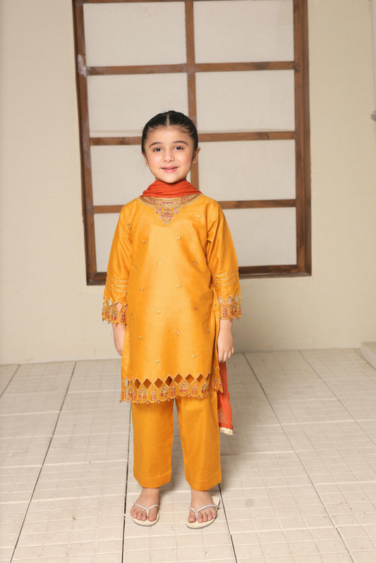 SHANZEY Nat Khat Guriya Embroidered 3piece Cotton suit