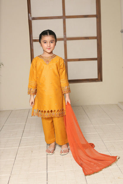 SHANZEY Nat Khat Guriya Embroidered 3piece Cotton suit