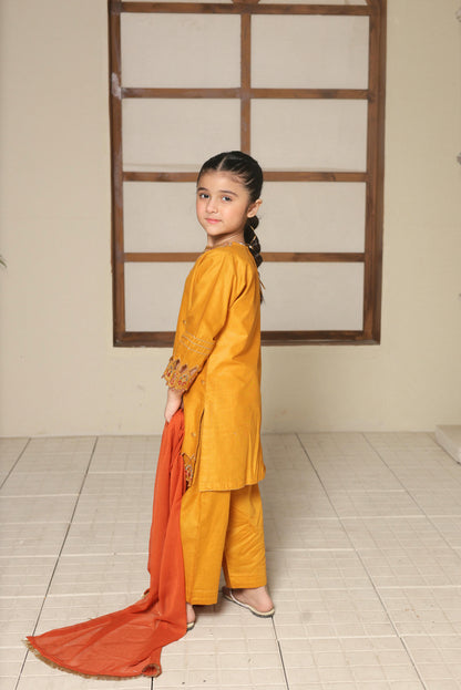 SHANZEY Nat Khat Guriya Embroidered 3piece Cotton suit