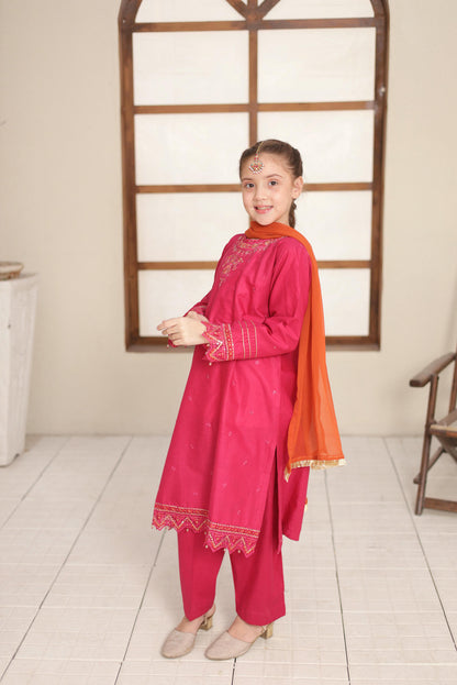 SHANZEY nat khat guriya Embroidered Embellished Cotton 3piece