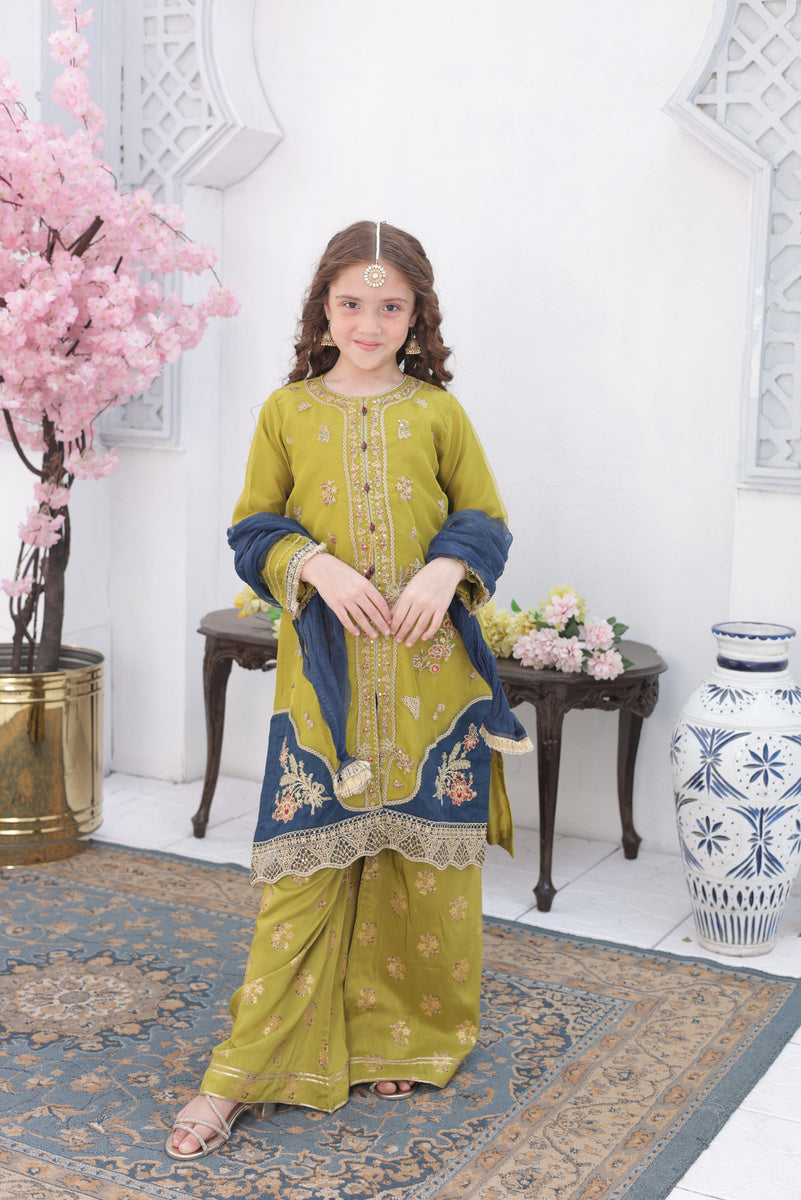 Roshni – Festive Formal Girls Pret Collection