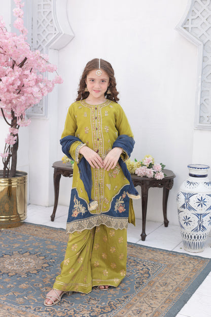 Roshni – Festive Formal Girls Pret Collection