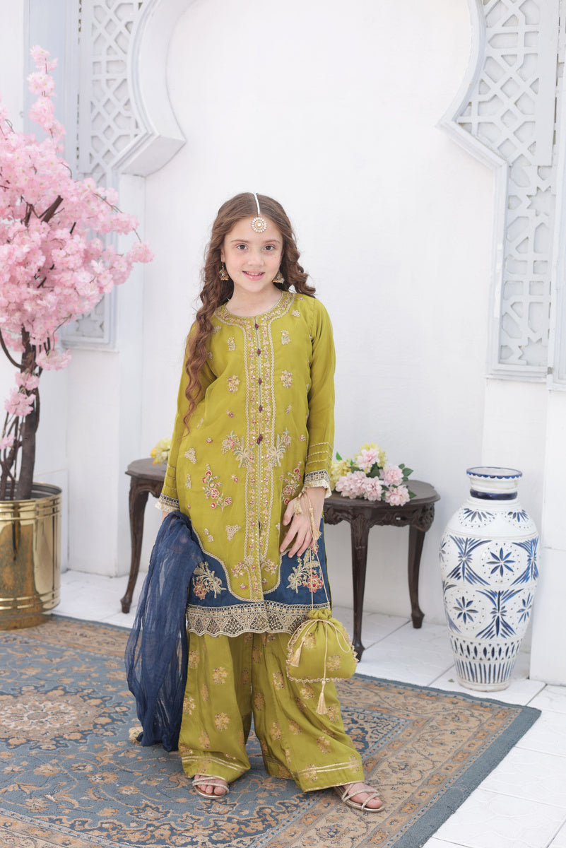 Roshni – Festive Formal Girls Pret Collection