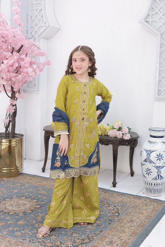 Roshni – Festive Formal Girls Pret Collection