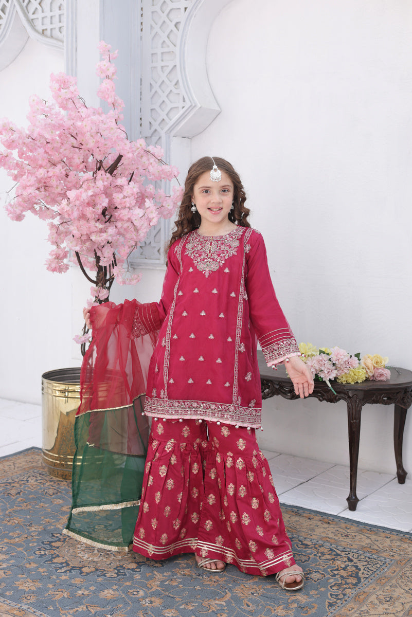 Roshni – Festive Formal Girls Pret Collection