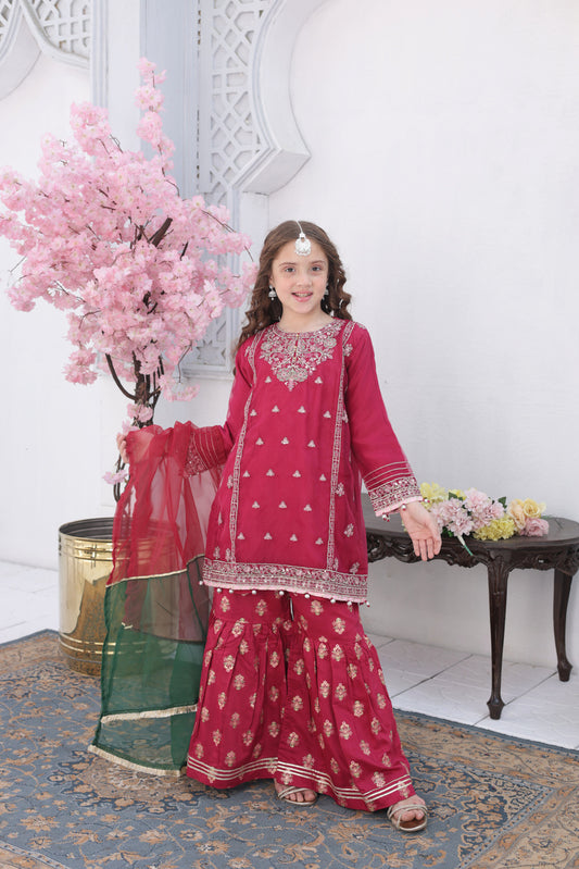 Roshni – Festive Formal Girls Pret Collection